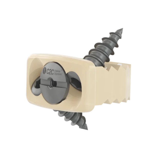 Zero-profile cervical cage with integrated screws